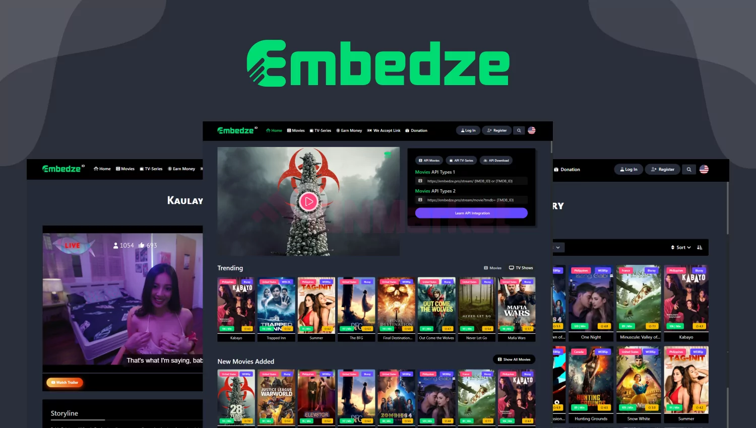 Embedze.Pro, Next StreamAPI, Movies & TV-Series - Manages Embed API